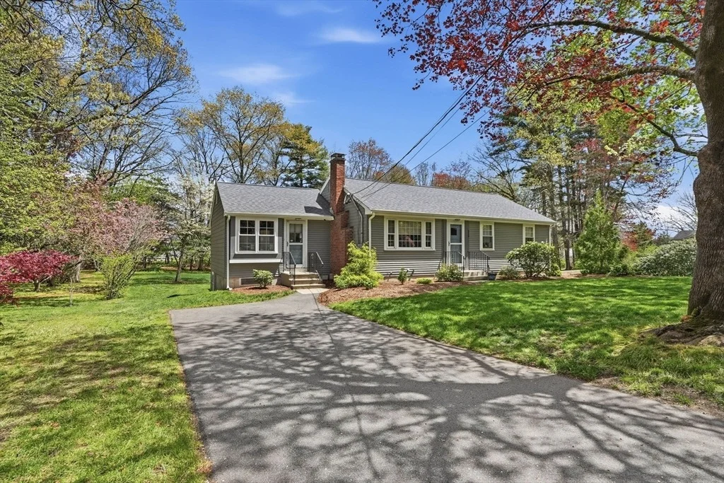 Photo of 313 Plain St.