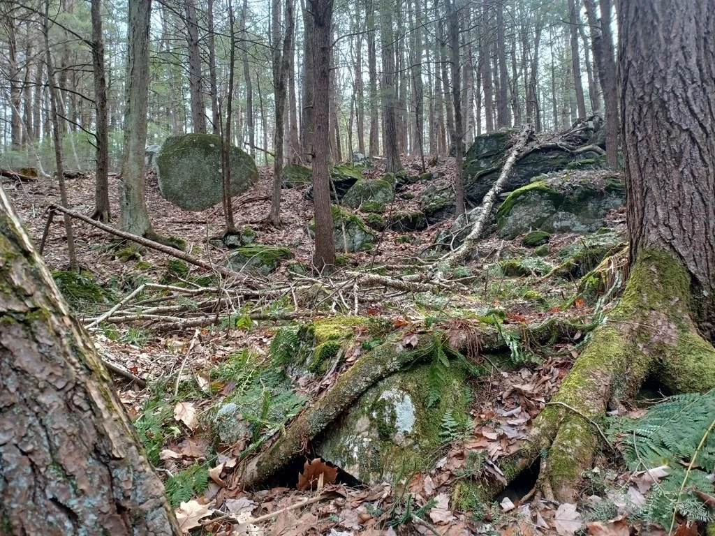 Photo of 296 Northwest Road