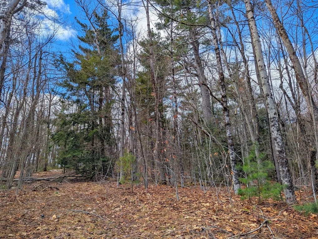 Photo of 0 Johnson Rd
