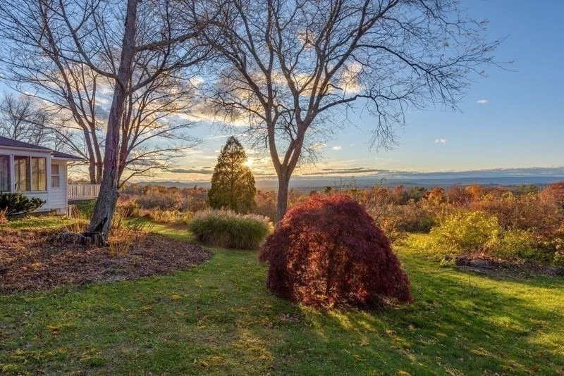 Photo of 41 Arnold Rd