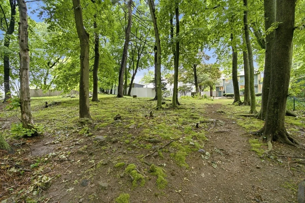 Photo of 8 Brackett Ave