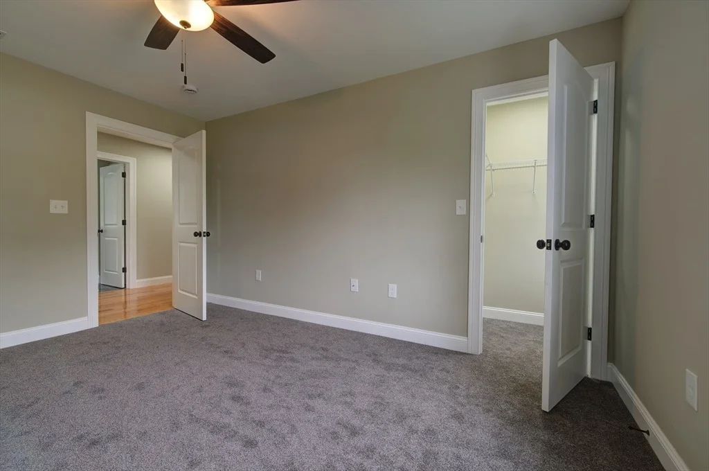 Photo of 42 Roy St