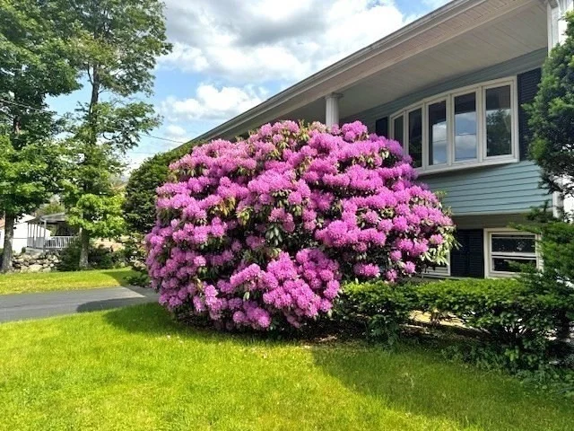 Photo of 18 Ash Street