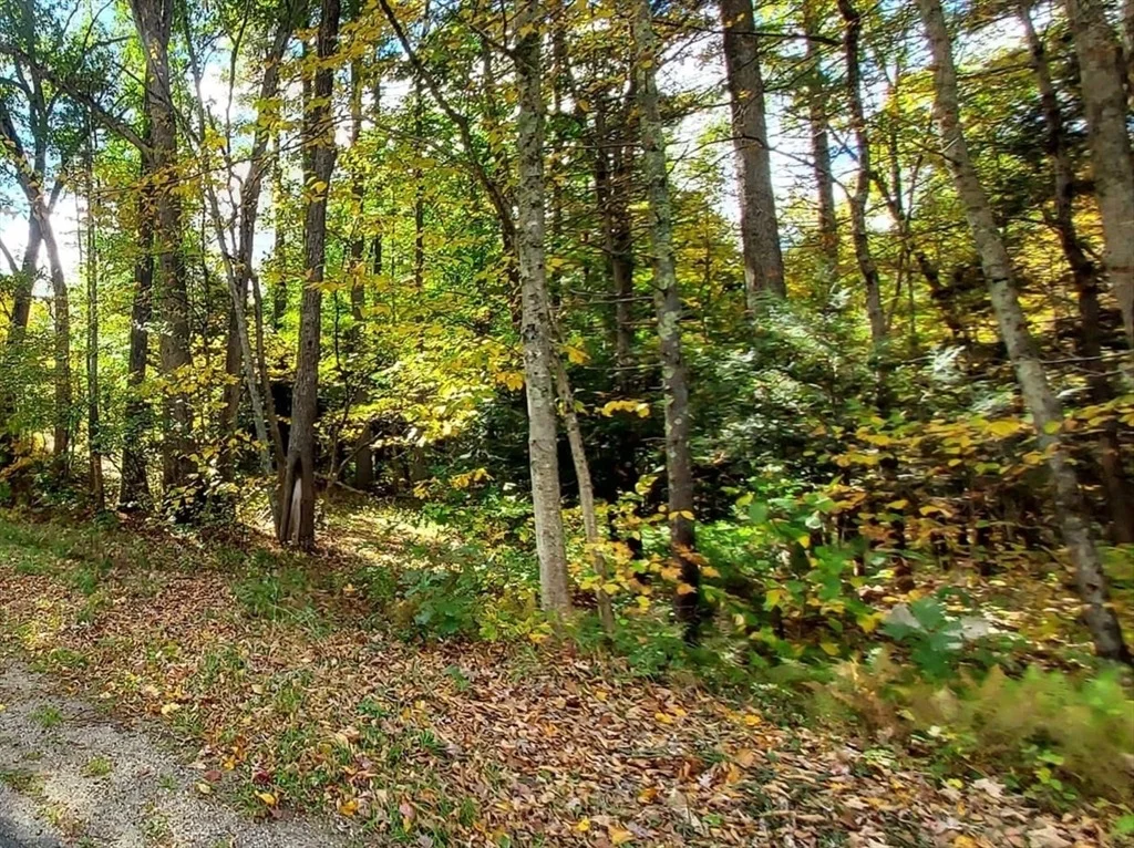 Photo of Lot 3 Harknesss Rd