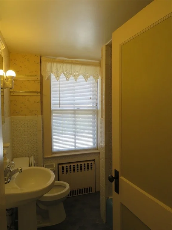 Photo of 22 Lewis Street