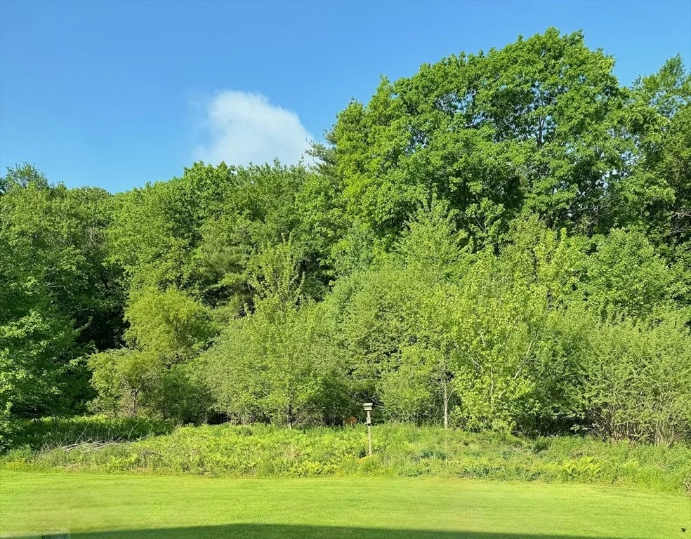 Photo of 14 Joy Rd