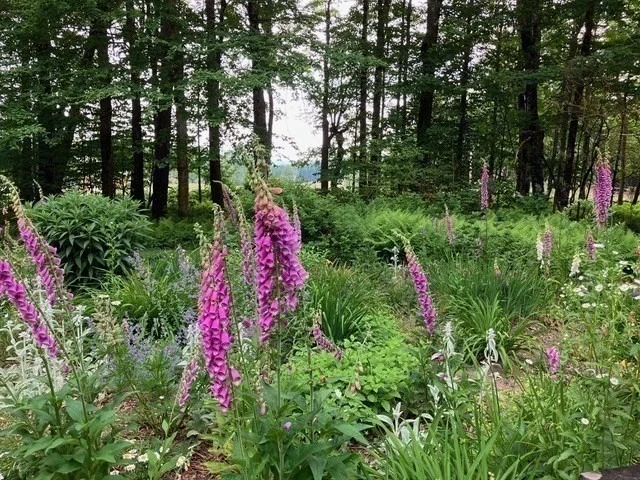 Photo of 486 Old Stage Road