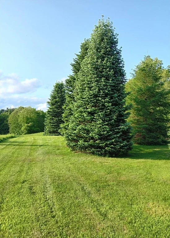 Photo of 16 Brigham Rd