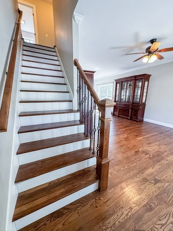 Photo of 36 Landy Ave