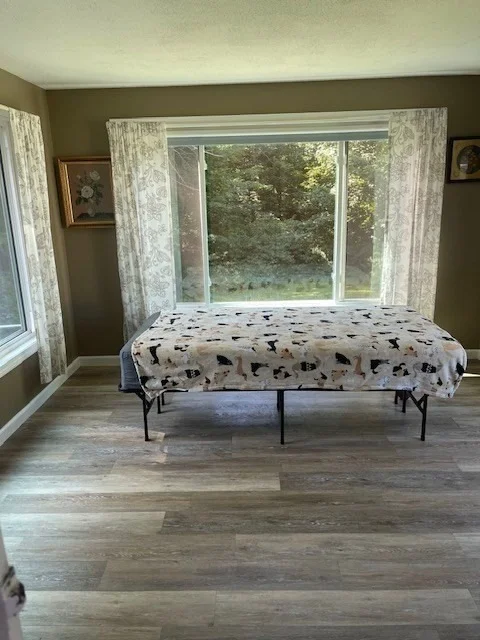 Photo of 374 Wilbraham Road