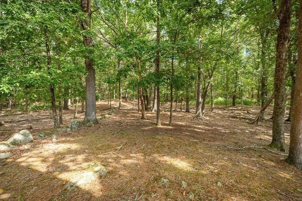 Photo of 3 Ipswich Rd