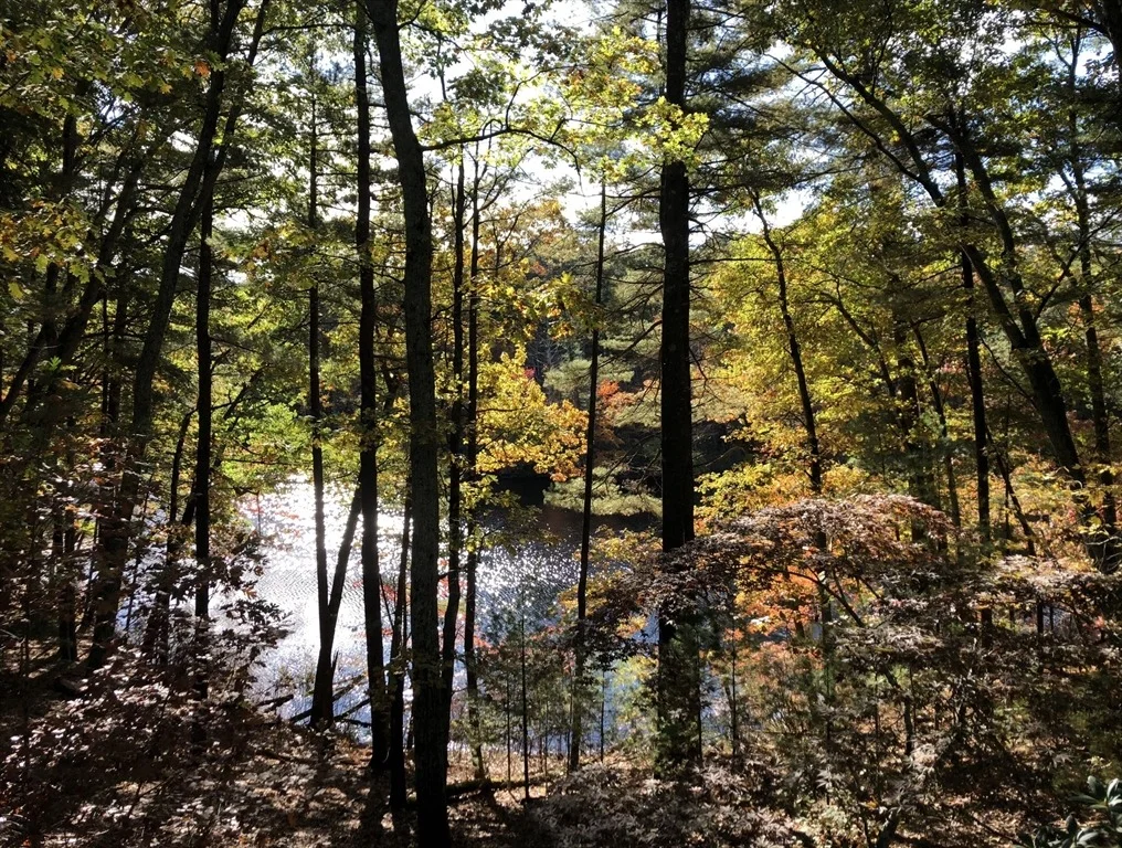 Photo of 25 Raynor Rd