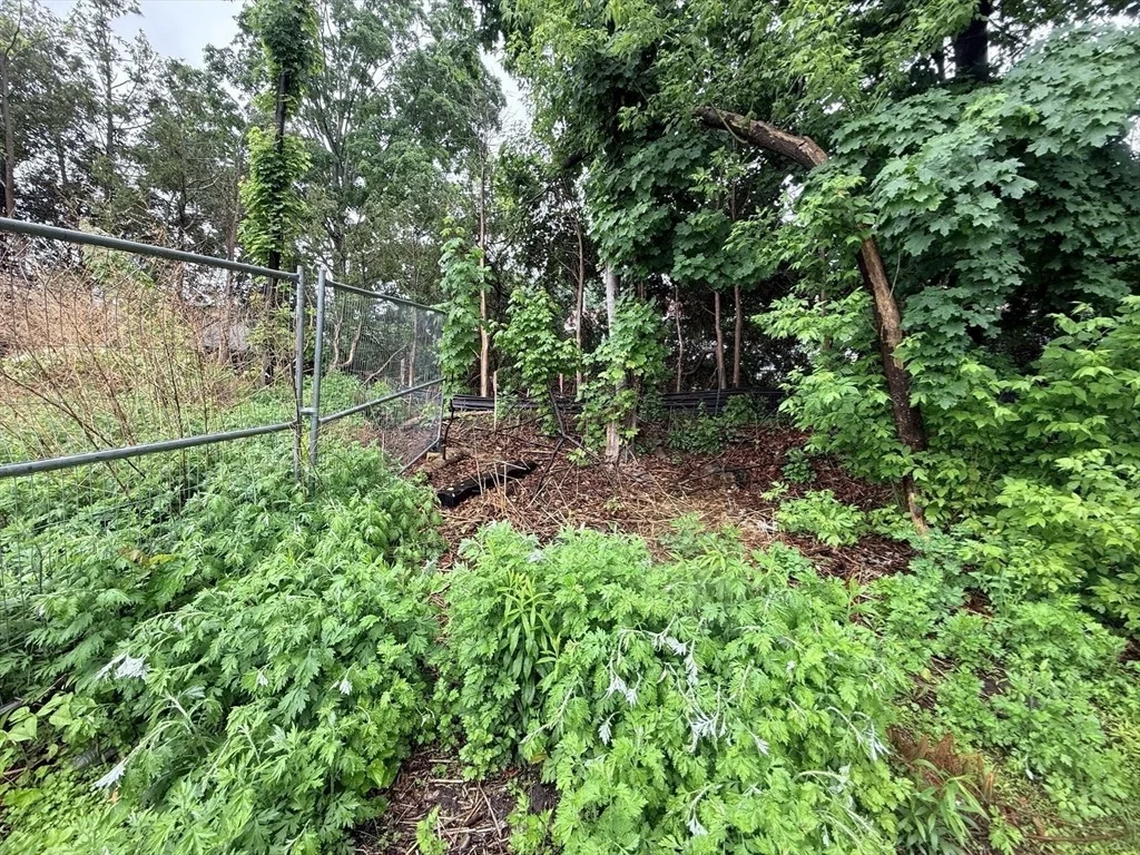 Photo of 0 Stoughton Ave