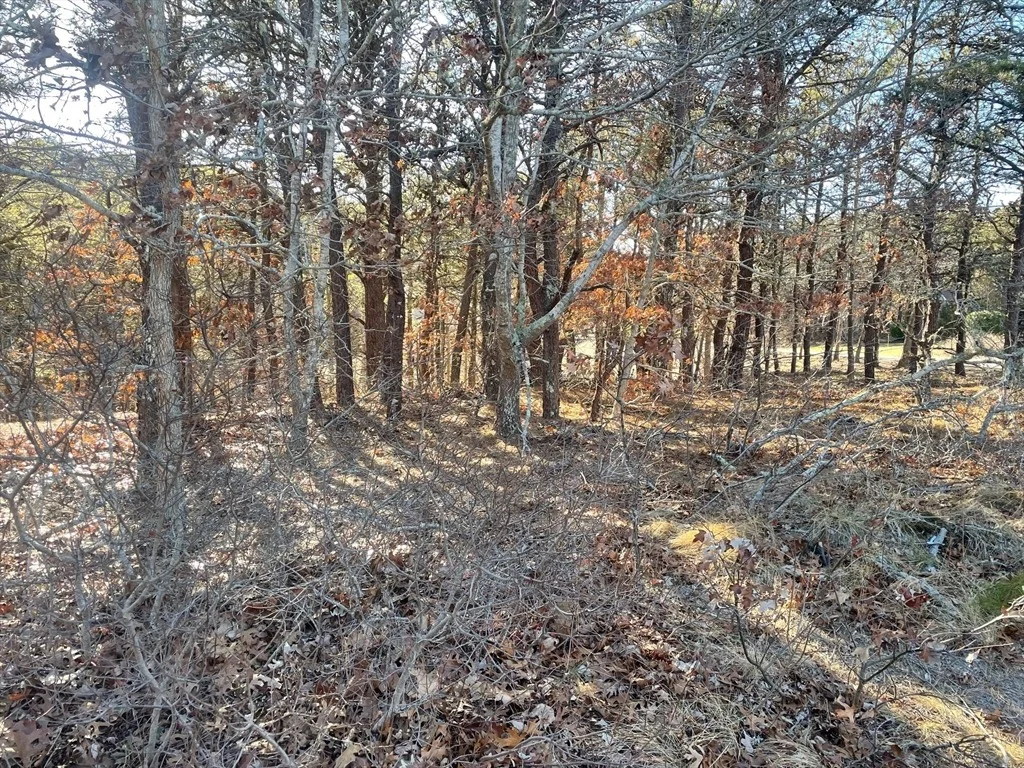 Photo of 2 Resolution Rd
