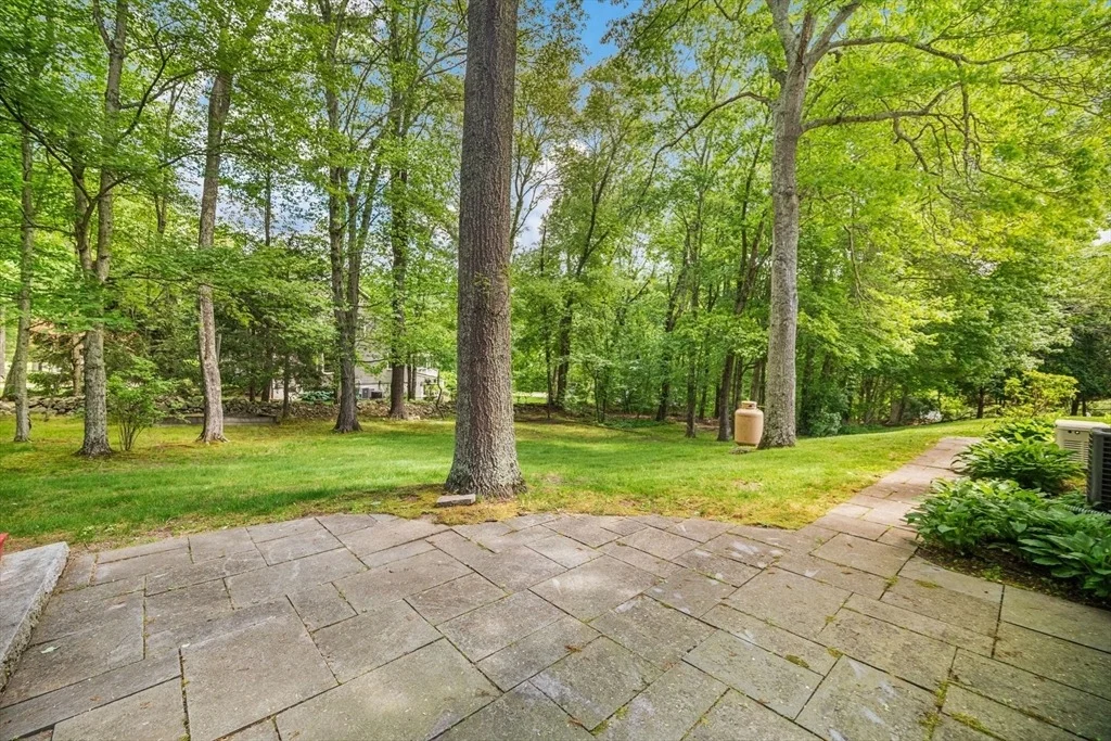Photo of 4 Skyview Dr