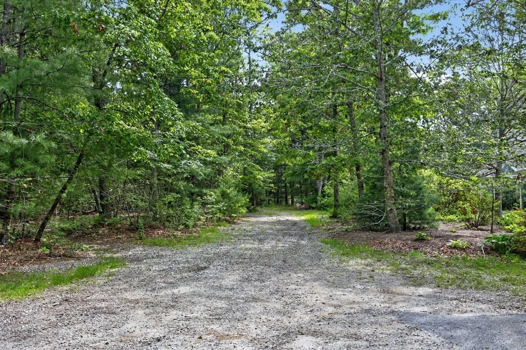 Photo of 20 Hirsch