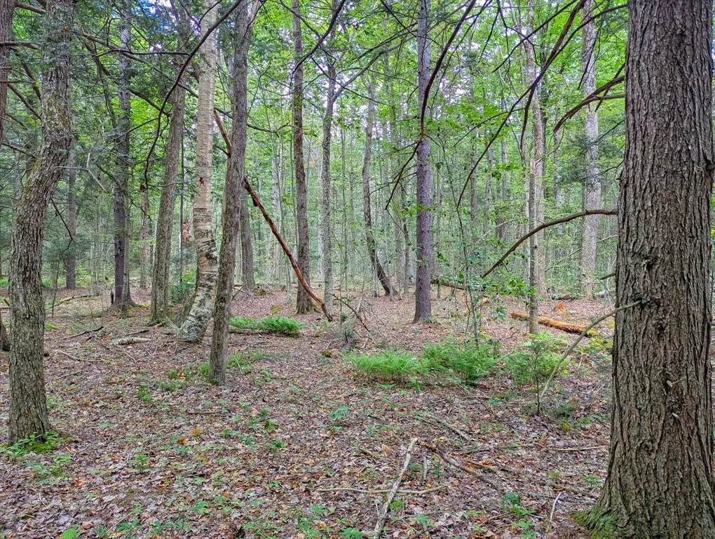 Photo of 0 Hamilton Rd