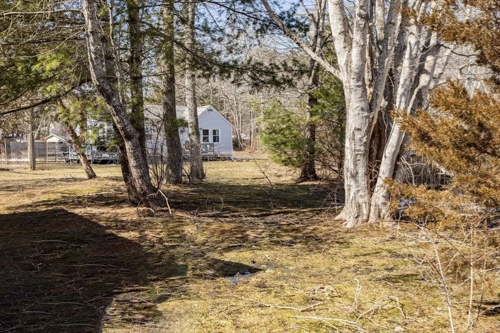 Photo of 21 Bisbee