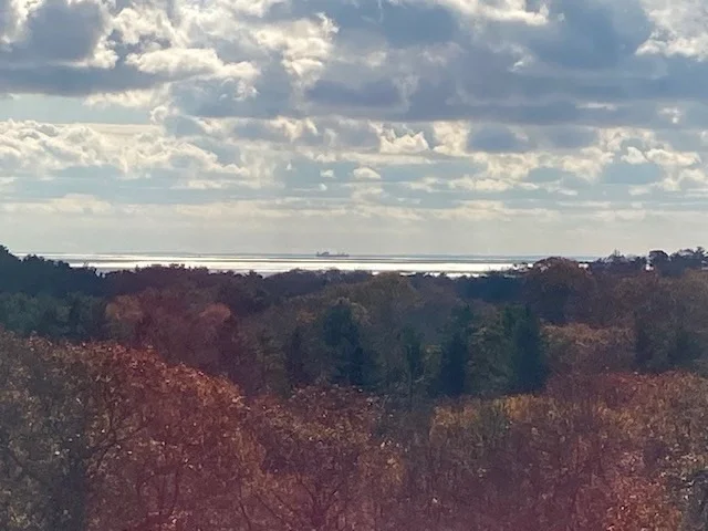 Photo of 73 Forest