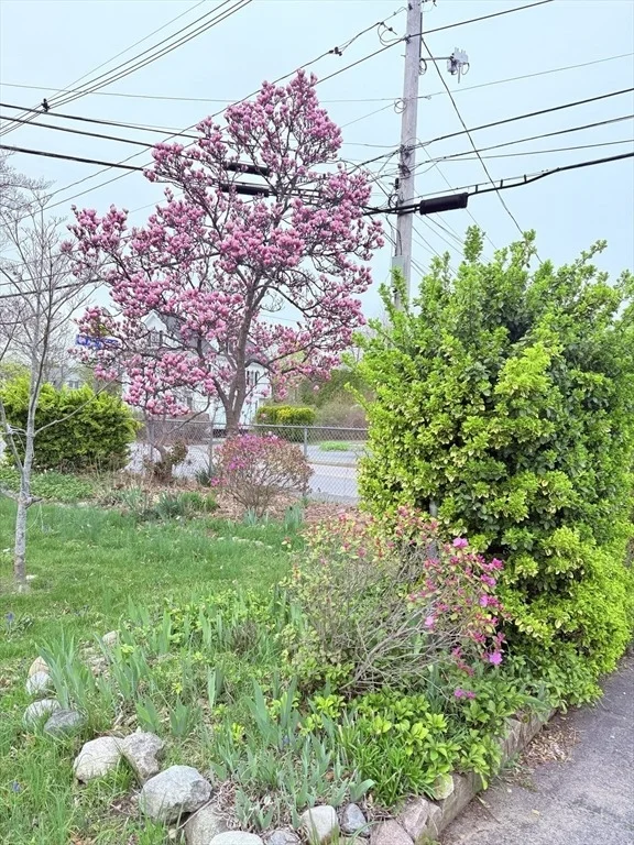 Photo of 47 Kendall Ave