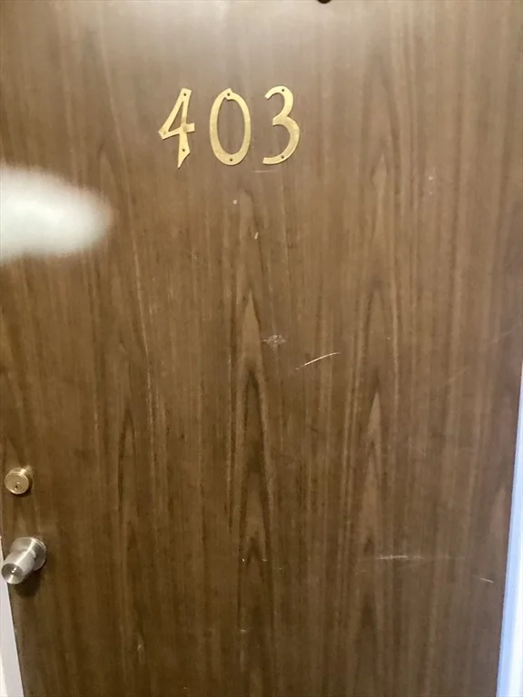 Photo of Unit 403 at 80 Walnut St