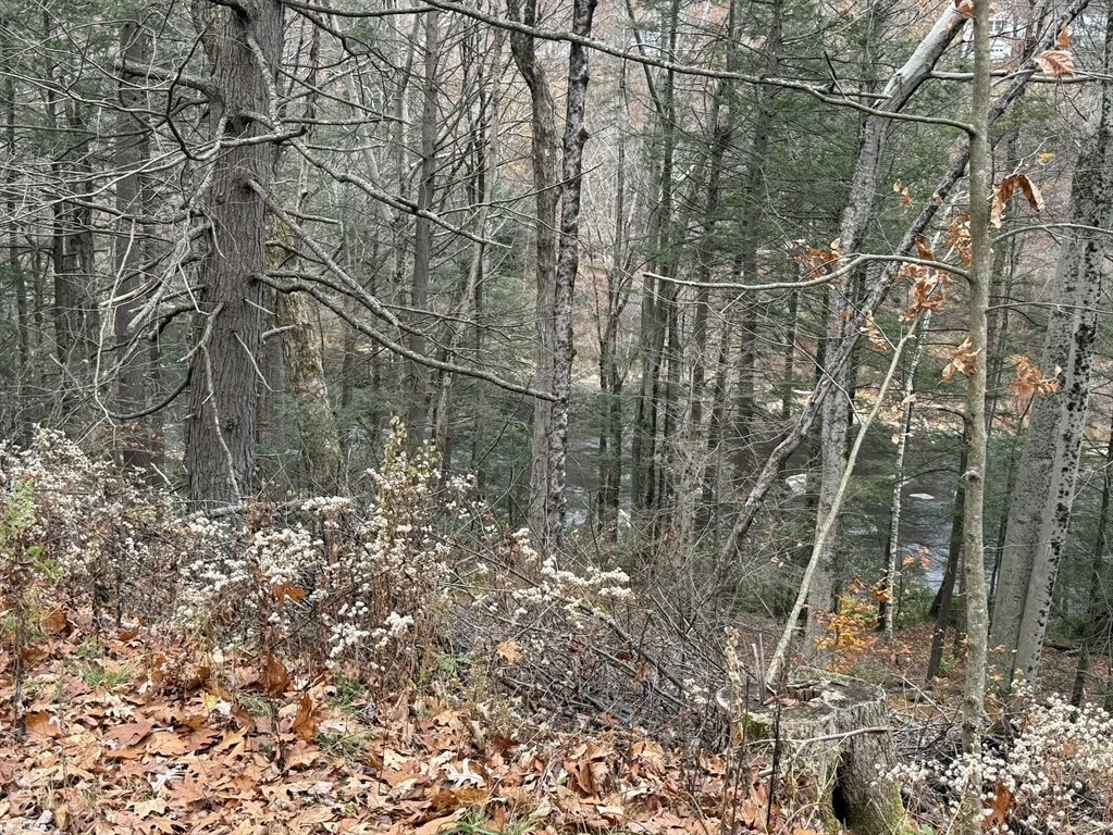 Photo of 0 Old Farley Rd