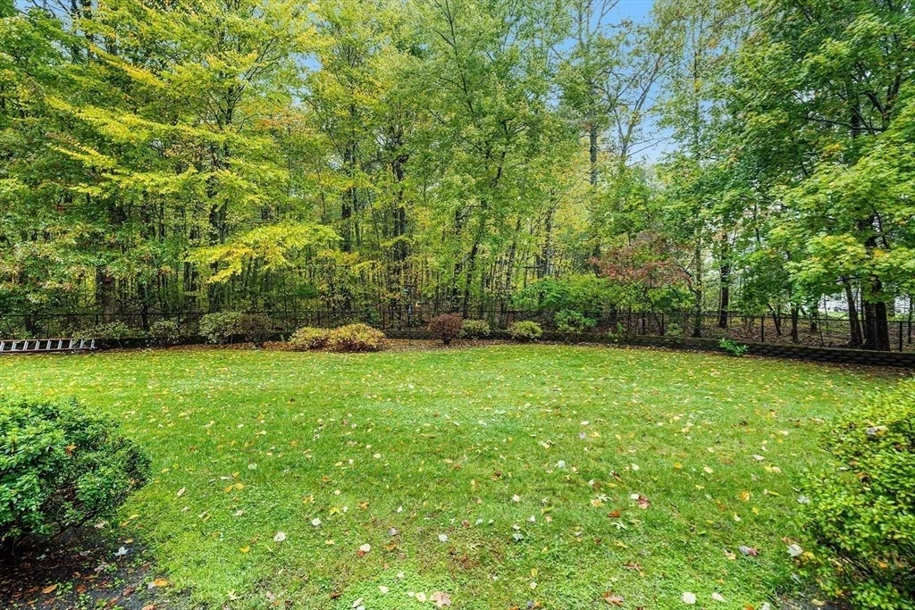 Photo of 417 Birchbark Dr
