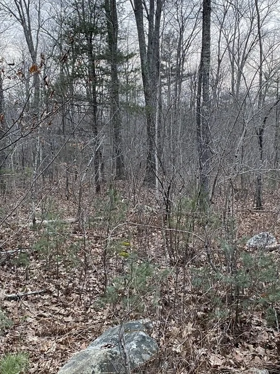 Photo of Lot 169-22 Beebe Rd