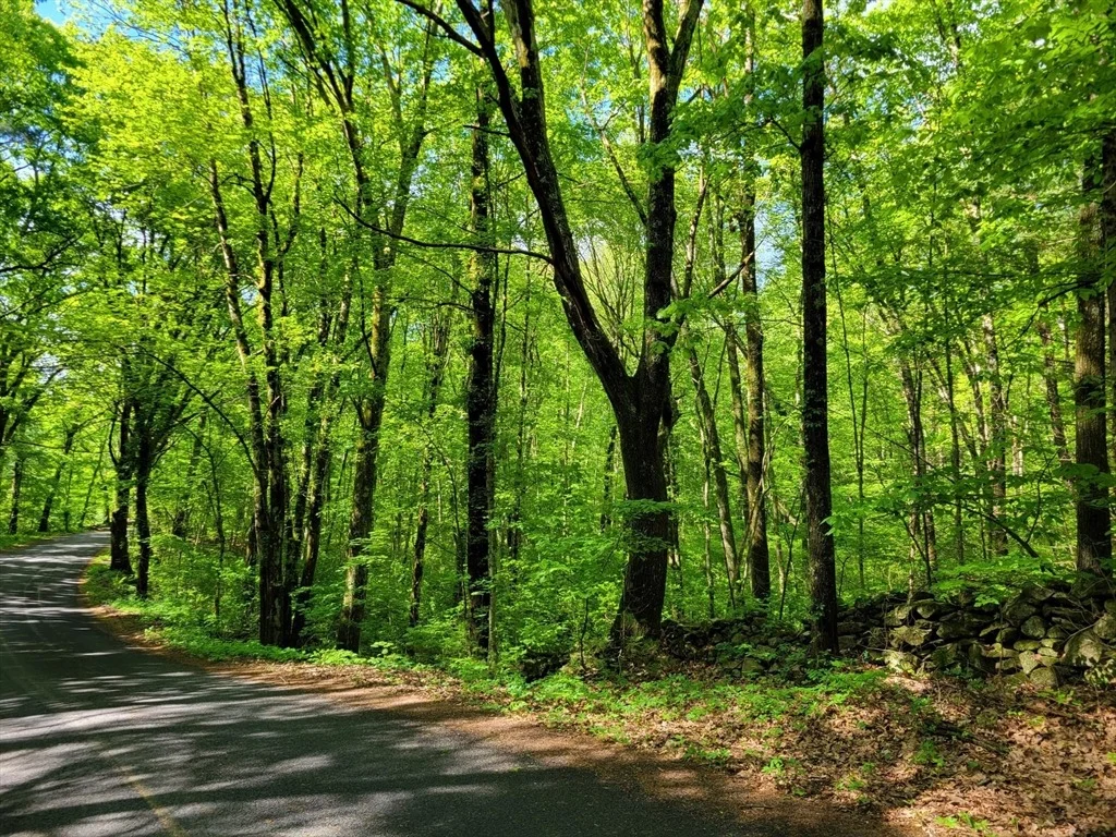 Photo of Lot 8 Daniels Rd