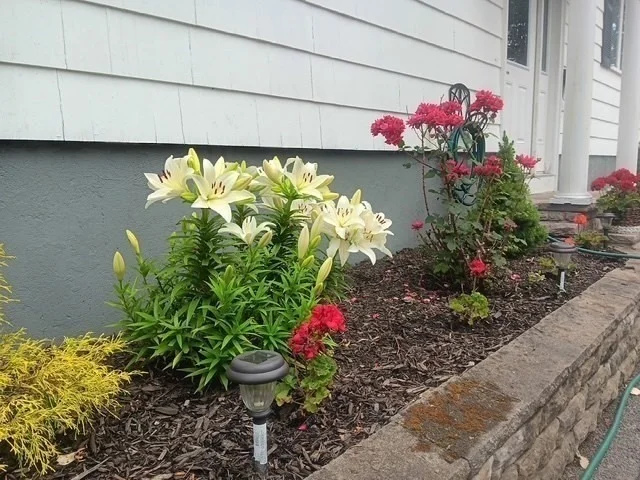 Photo of 24 Lily Street