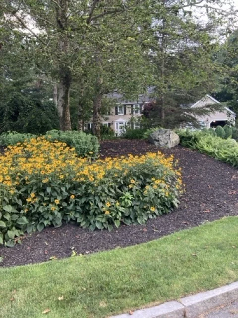 Photo of 22 Arbor Way