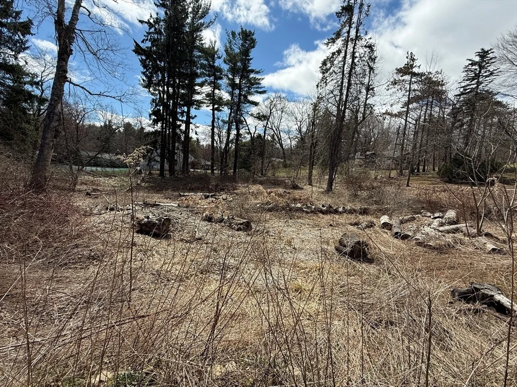 Photo of 11 Walbridge Road