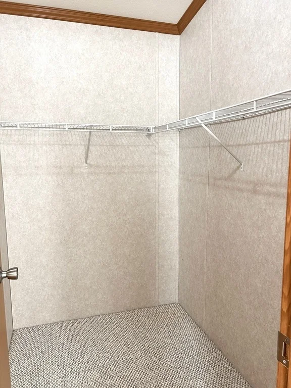 Photo of 78 Earl Drive
