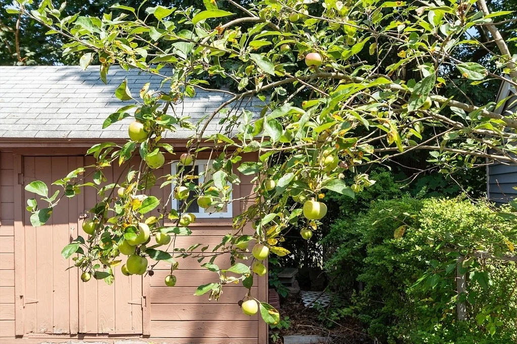 Photo of 31 Spring View Dr