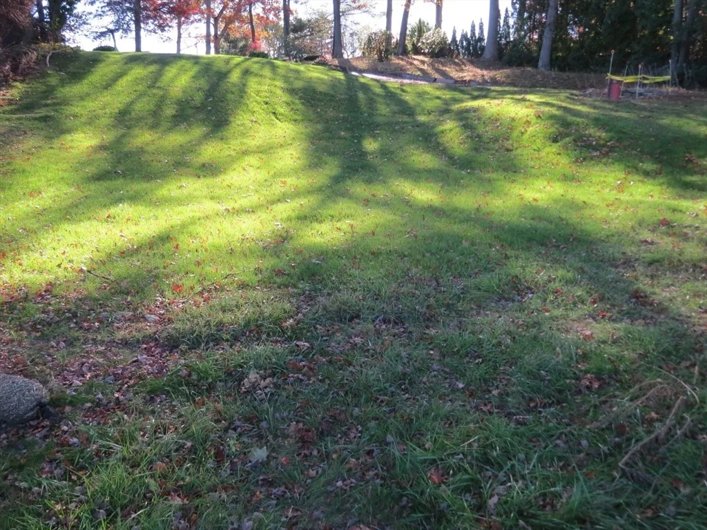 Photo of 90 Macarthur Drive