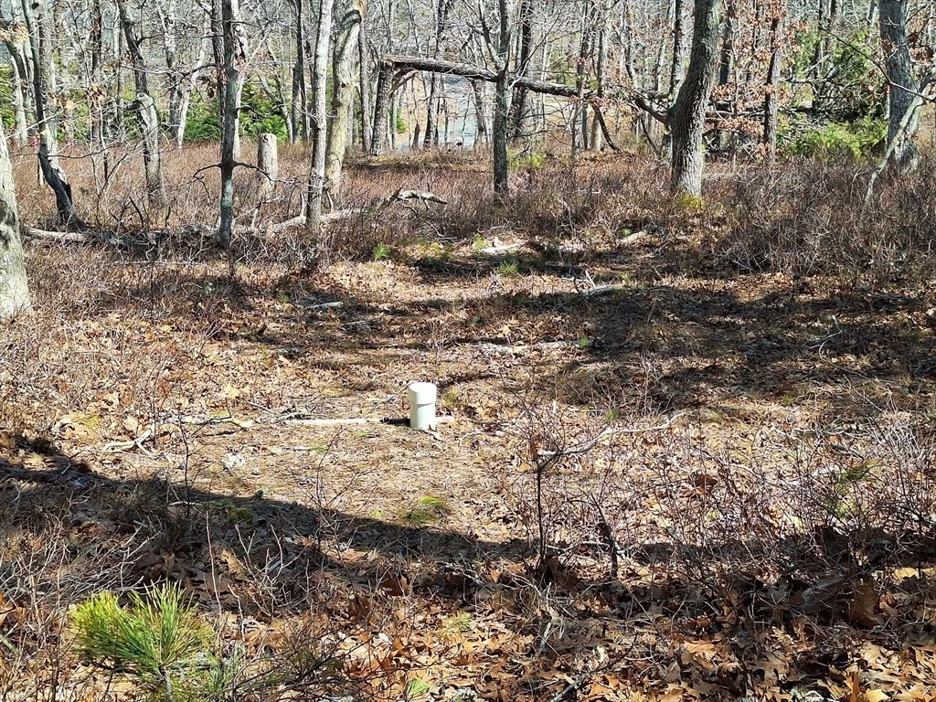 Photo of 37 Oak Valley Rd