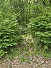 Photo of 32 Spring