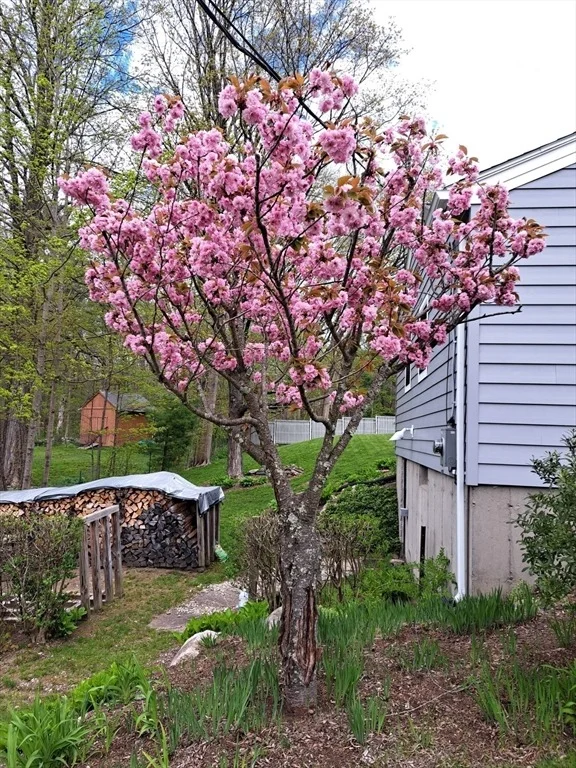 Photo of 60 Bay Rd
