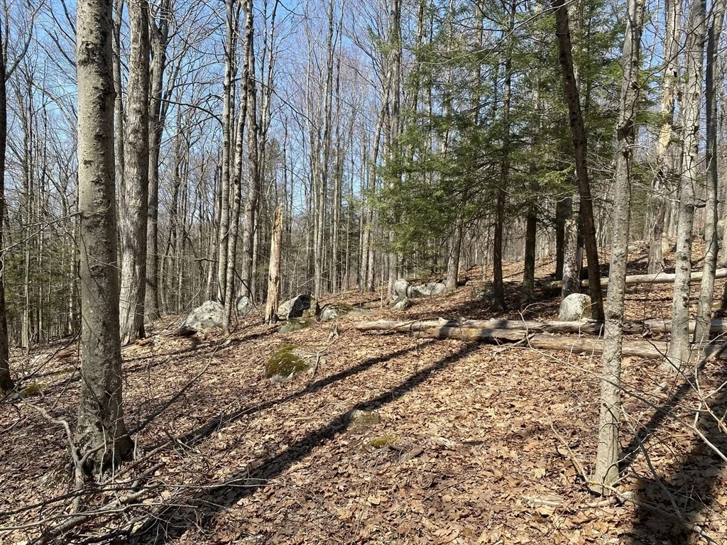 Photo of Lot 15 Colebrook River Rd