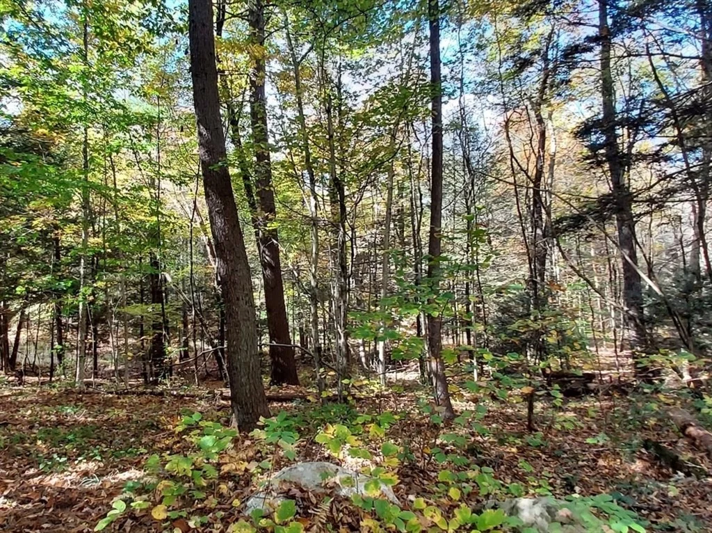 Photo of Lot 3 Harknesss Rd