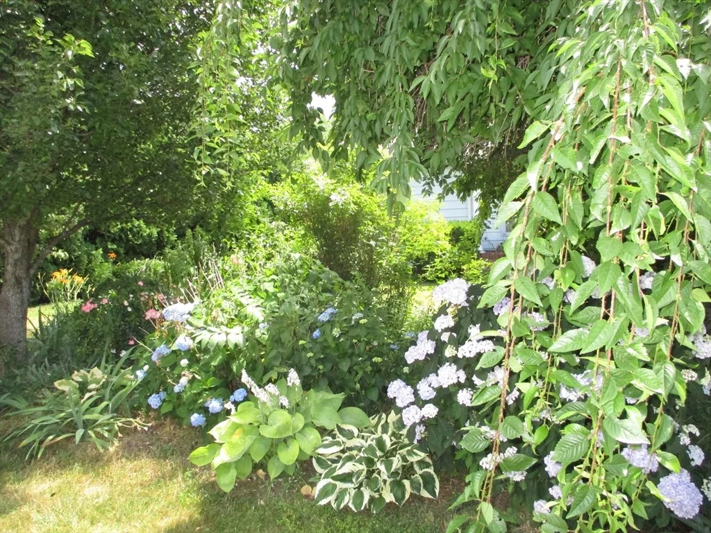 Photo of 12 Strathmore Road