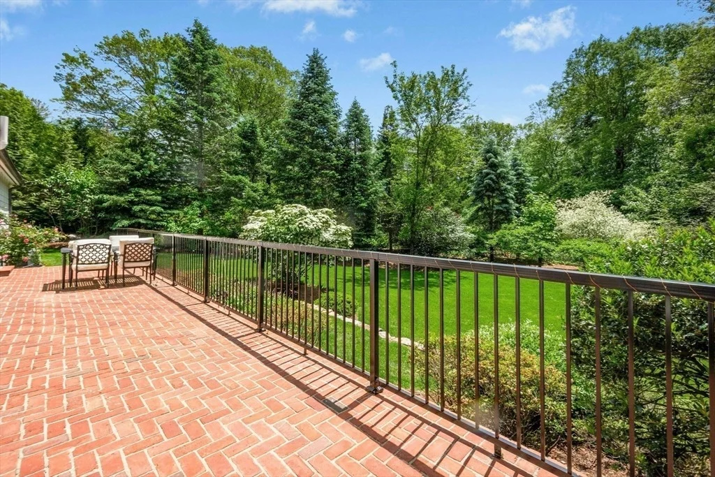 Photo of 11 Scotch Pine Cir
