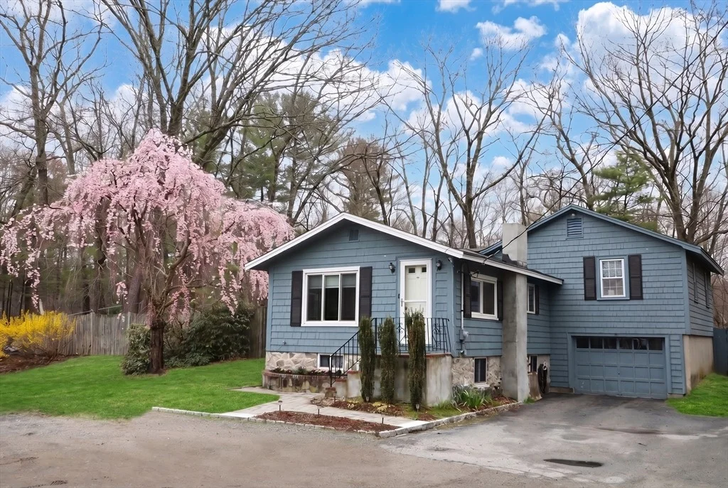 Photo of 3 Shenandoah