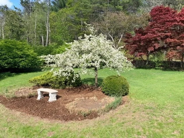 Photo of 61 Arnold Rd