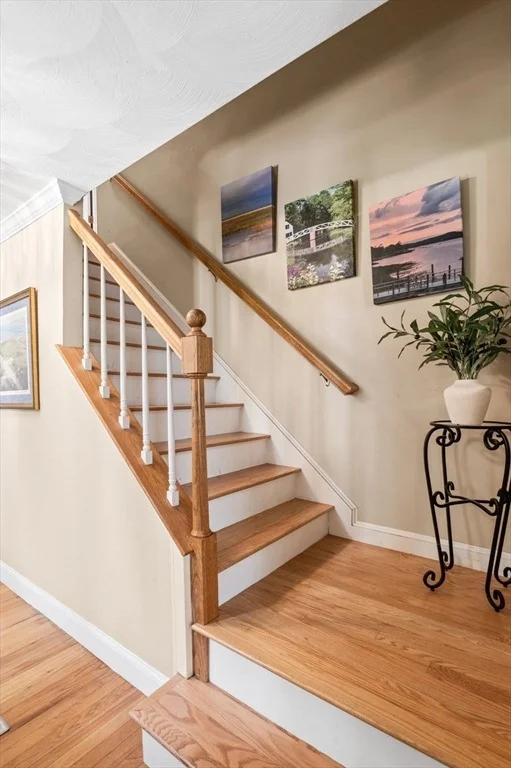 Photo of 9 Sagamore Road
