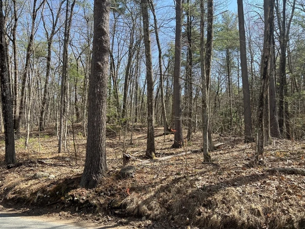 Photo of Lot 2, January Hills Road