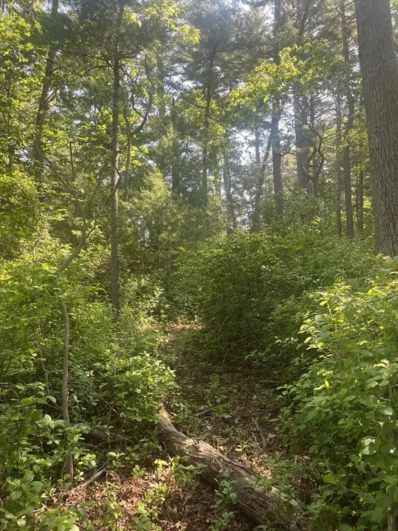Photo of 0 Morse St
