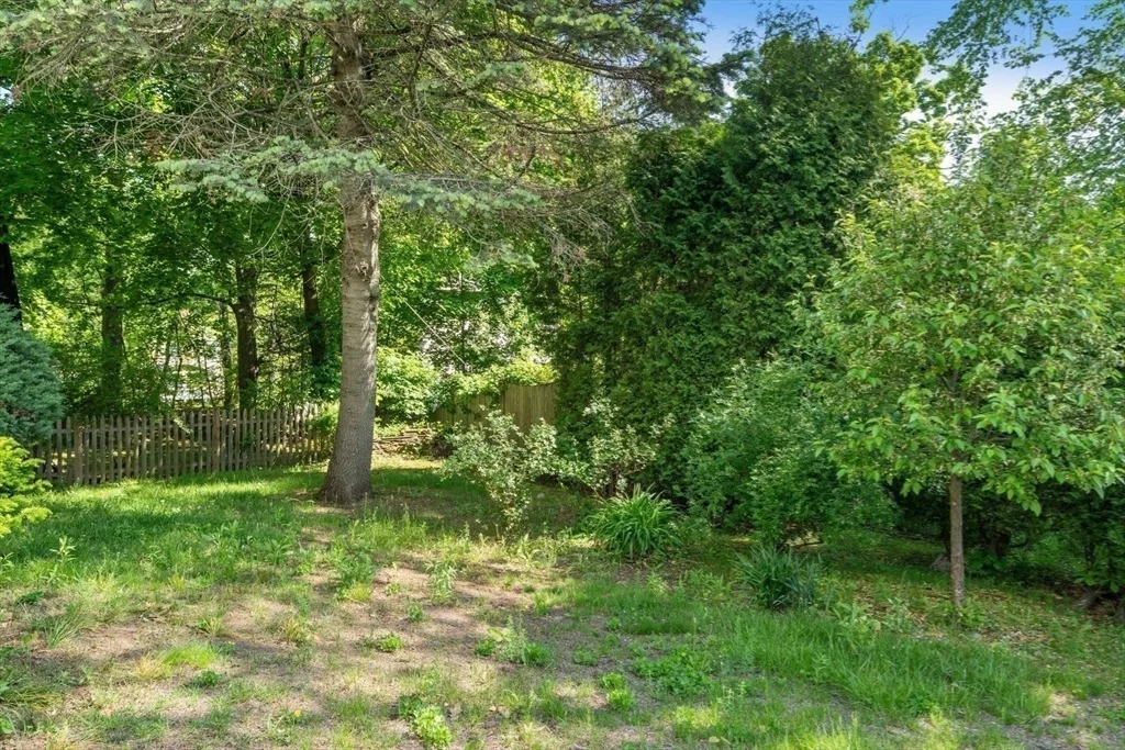 Photo of 1231 Pleasant St