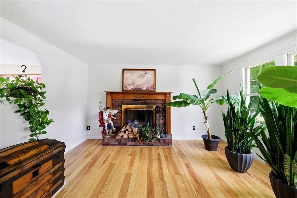 Photo of 23 Phelps St