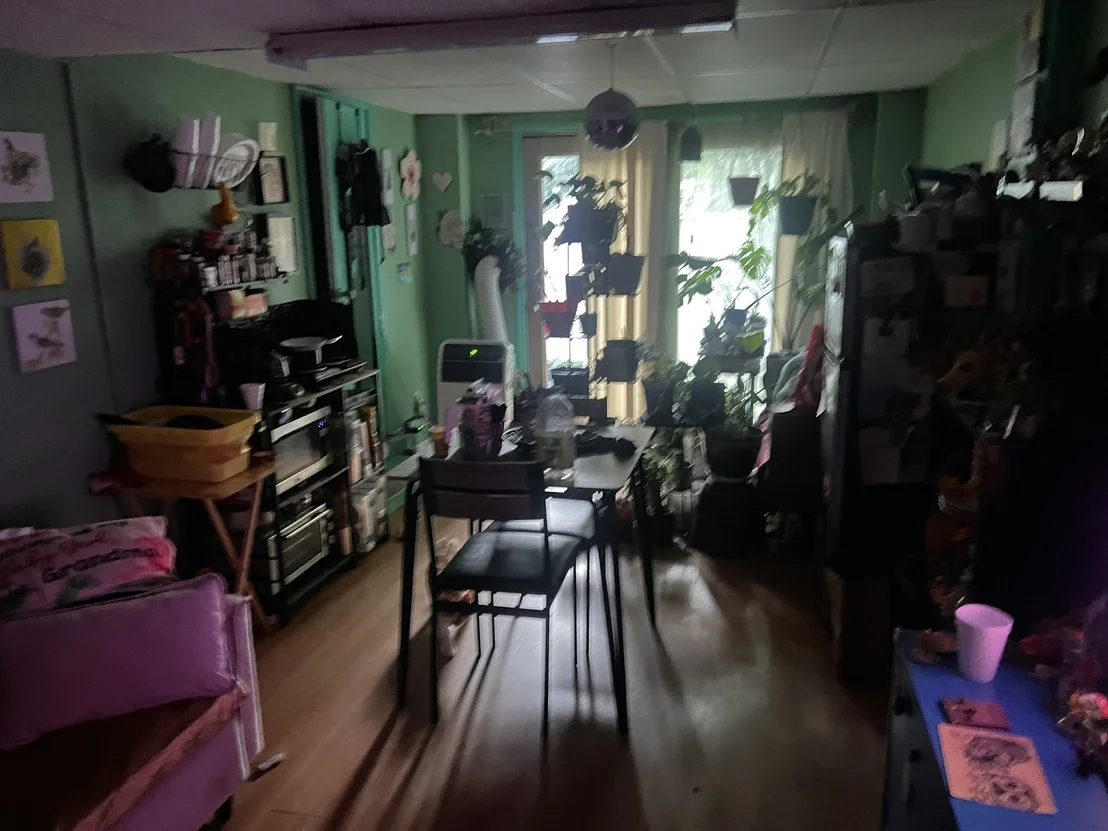Photo of 21 Commonweath Ave